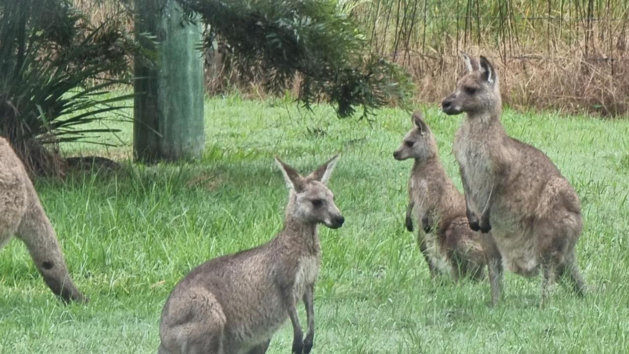 Hunter Valley 2* Vacy